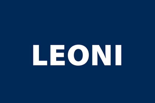 Acasă 18 leoni